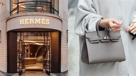 hermes sued for birkin|tina cavalleri vs Hermes.